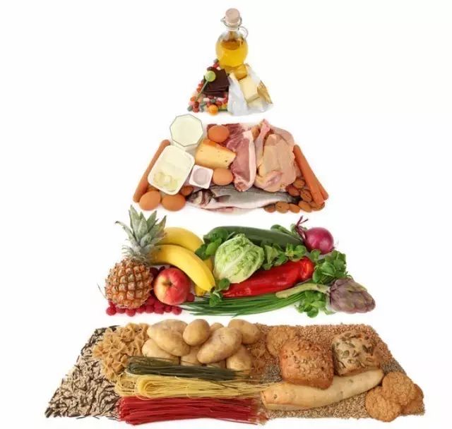 多吃脂肪真的更健康！哈佛科学家365天亲身实验为脂肪正名