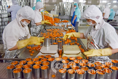 砀山 多措并举提升日用百货特色产业集群质效与竞争力