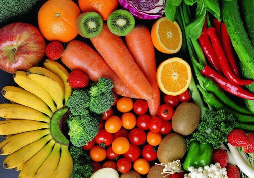 戒律的微光 从佛经看佛陀对心念的守护